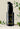 Azadi Purpose Illuminate Bottle with Leaves Landscape